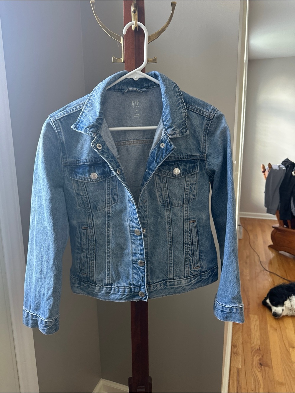 Gap Kids Medium Wash Denim Jean Jacket Size XXL (14-16)